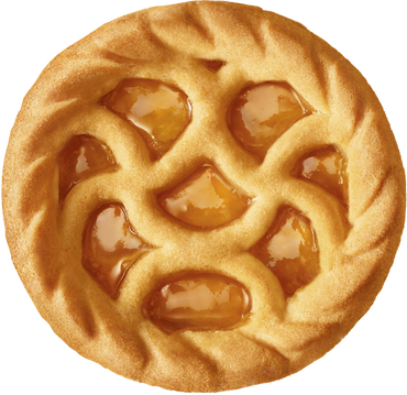 Crostatine-Albiocca Large